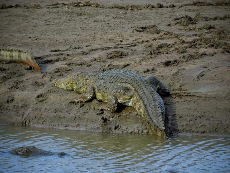Wild Lake Side ウダワラウェ エクステリア 写真