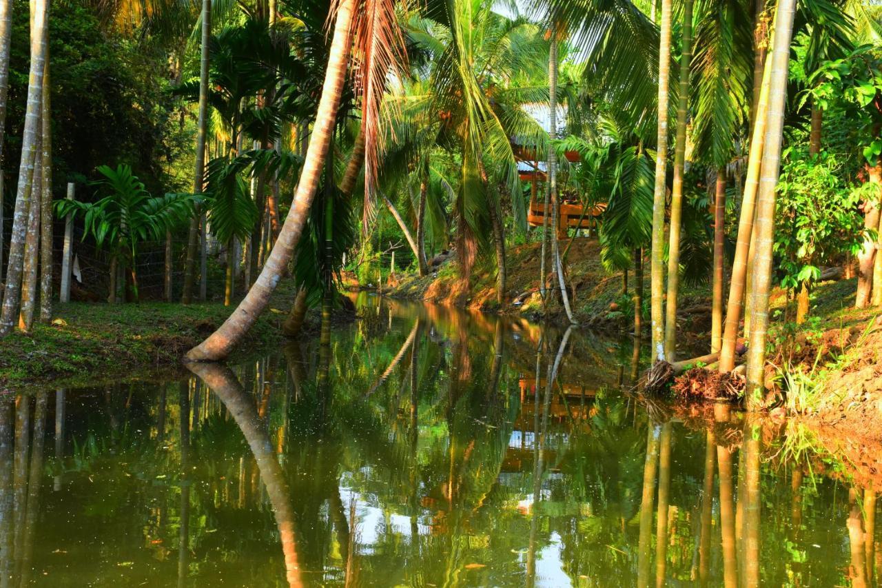 Wild Lake Side ウダワラウェ エクステリア 写真