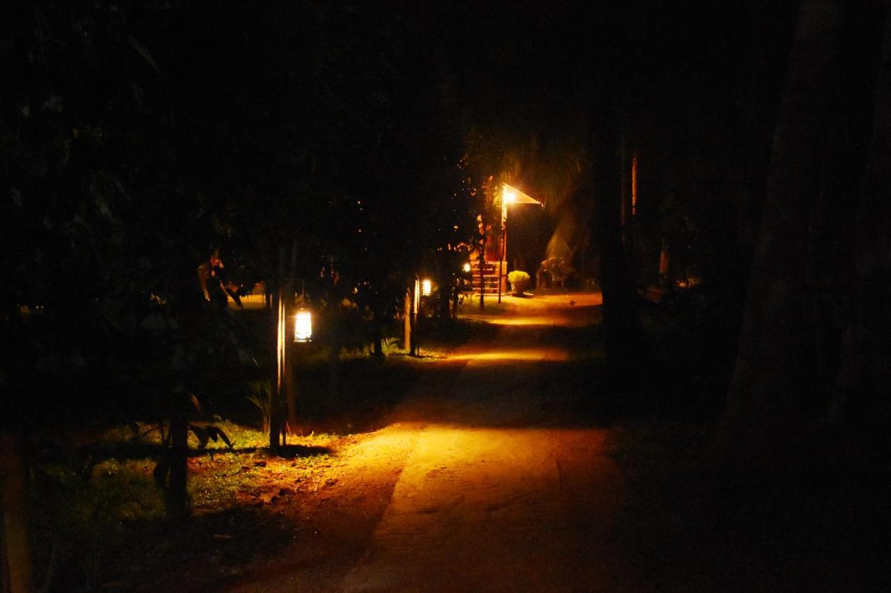 Wild Lake Side ウダワラウェ エクステリア 写真